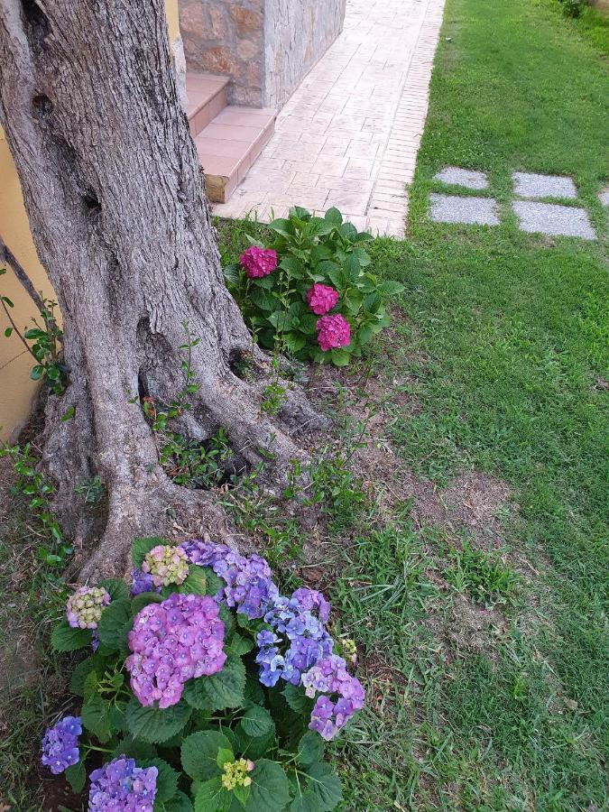 Laura Casa Vacanze كابو فاتيكانو المظهر الخارجي الصورة